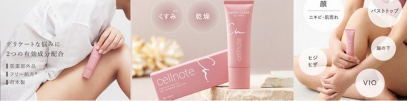 ����E�e�EVIO�܂ރf���P�[�g�]�[���̍����ݑ΍�Ɂw�t�F�~�j�b�V�� �N���A�x���T�C�g